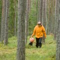 Milliseid loodusande tohib korjata eramaal? Kust ja mida üldse tohib võtta?