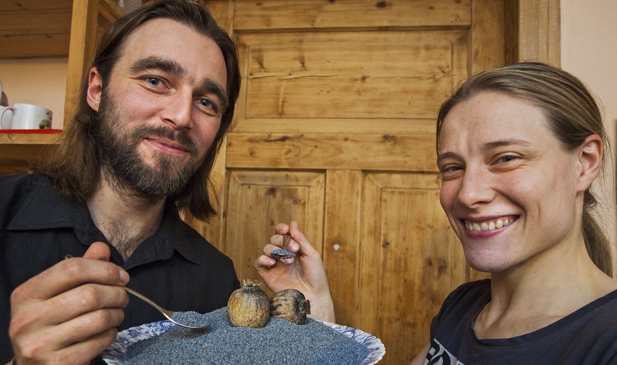 Jiří Blažek ja Merlin Niinemägi kasvatavad mooniseemneid, mis sobivad imemaitsvatesse küpsetistesse.