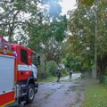 Torm murdis Valgerannas teele 50 puud, kaheksa majapidamist jäid lõksu