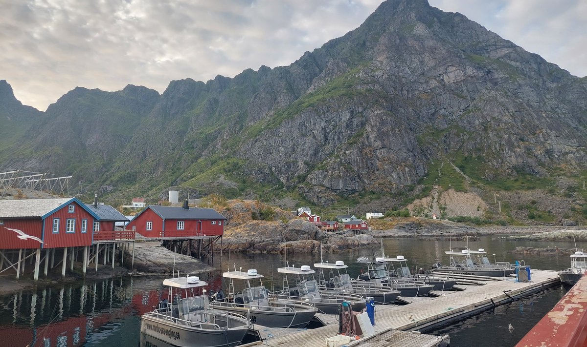 Kalastamine on Å külas endiselt au sees, aga aina enam on elavnenud ka turism. Paraku suisa nõnda, et korduvalt on pihta pandud asula nimega maanteesilt.
