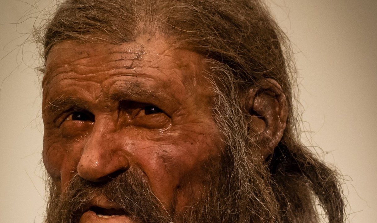 Nüüdisajal tuntuim jääaegne inimene Ötzi, kelle nägu on taastatud leitud luude põhjal (Foto: Wikimedia Commons /  Thilo Parg)
