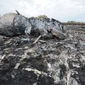 Рейс MH17: Кэмерон и Меркель просят Путина о помощи