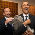 ФОТО: Милые коалы привели в восторг сильных мира сего