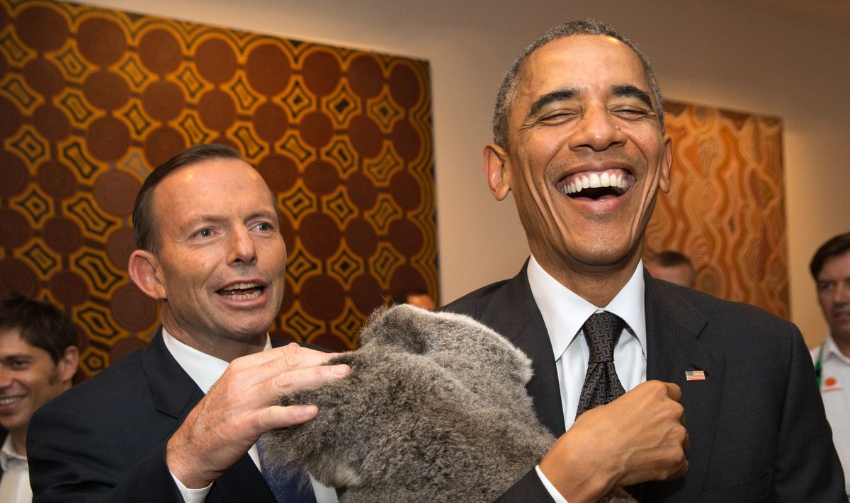 Barack Obama ja Toni Abbott koaalat kaisutamas