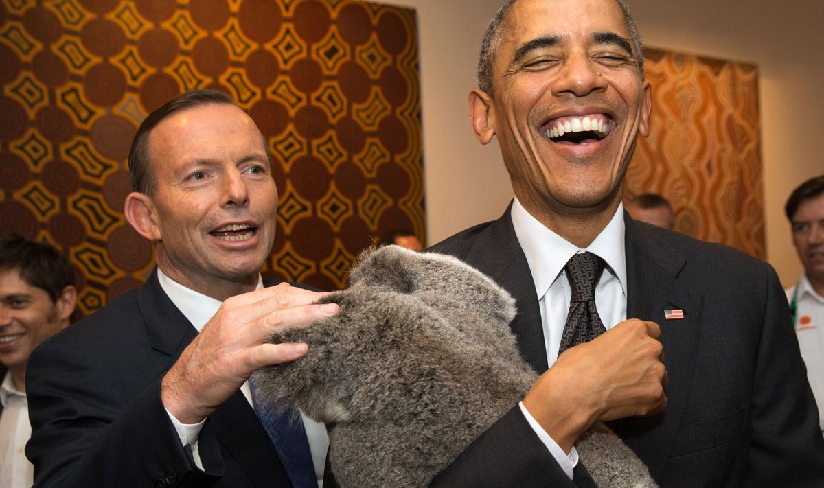 G20 Australia handout photo shows U.S. President Obama laughing as Australia's PM Abbott touches a koala he is holding before the G20 Leaders' Summit in Brisbane