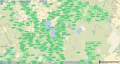 Natura metsaelupaigad. Mitmetes Eesti paikades värvus Metsaregistri kaart üleöö 2022 aasta talvel neoonroheliseks, mis tähistas metsateatiste väljastamise ja raietööde peatamist järgnevaks 28 kuuks, või isegi kauemaks.