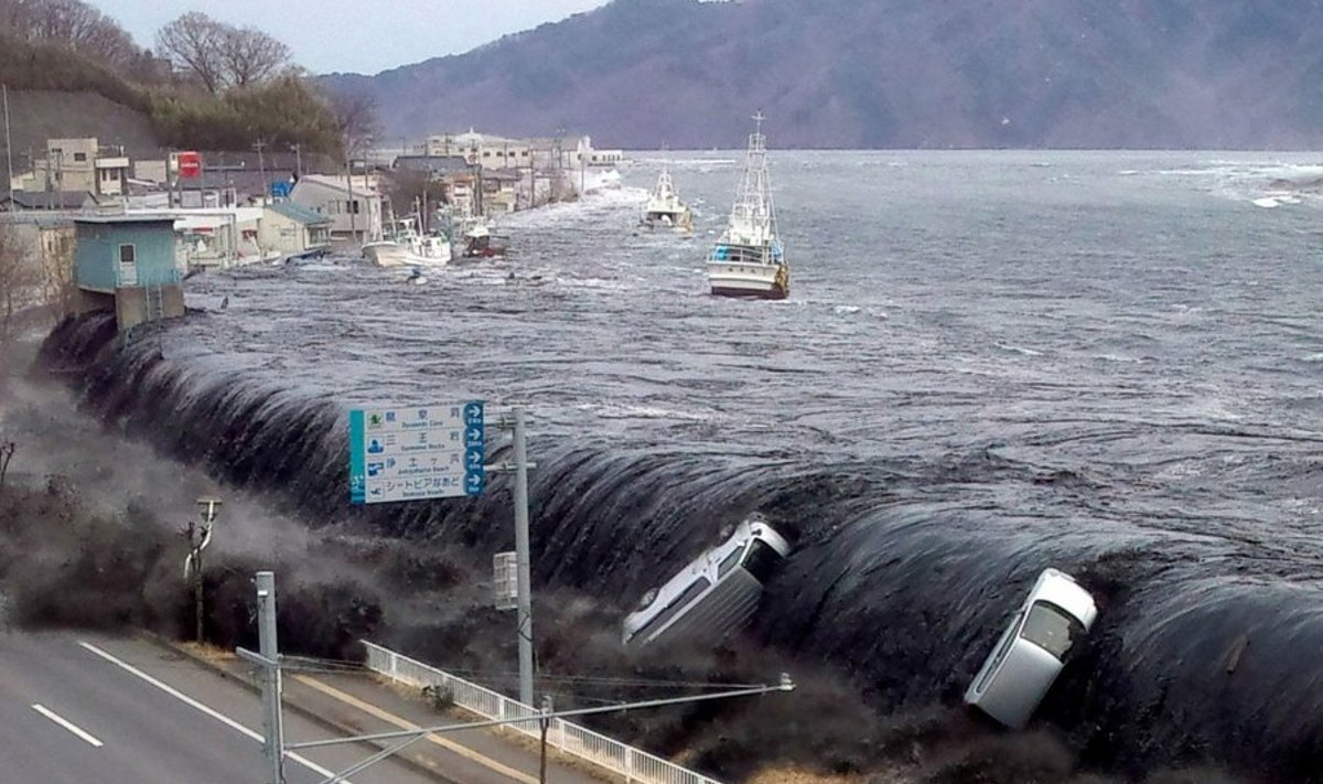 Jaapani maavärin ja hiidlaine 2011, märts