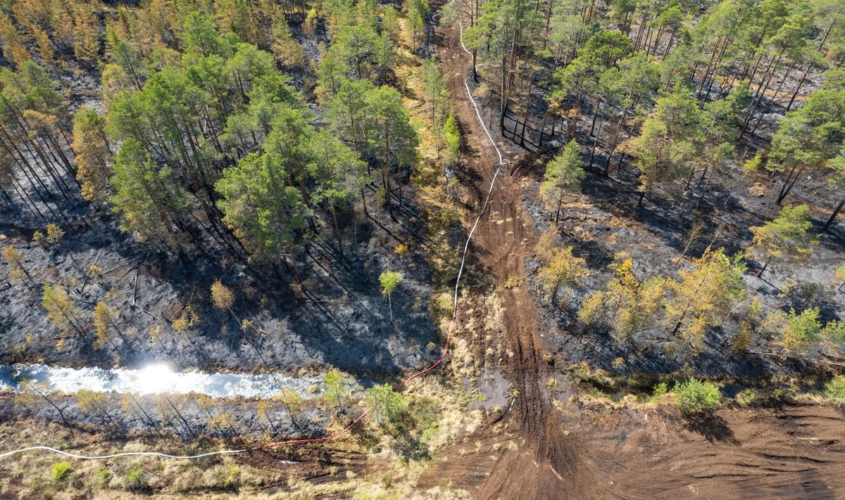 Viljandimaal põles nädalavahetusel 30 hektarit metsa.