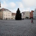 ФОТО: Почему на Ратушной площади все еще красуется новогодняя елка?