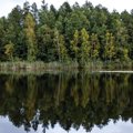 GRAAFIKUD | Tänavuse metsainventuuri järgi on kaitse all juba kolmandik Eesti metsadest