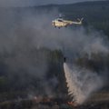 ФОТО и ВИДЕО: В Чернобыльской зоне продолжают тушить пожар
