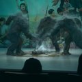 Новый южнокорейский сериал обогнал “Игру в кальмара” в рейтинге Netflix