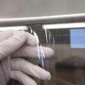 TalTechis pandi tööle uudne bioplasti katseliin