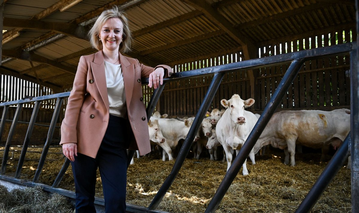 Liz Truss jõudis parteijuhi kampaaniat tehes välisministeeriumist päris kaugele, kui käis näitamas enda poolehoidu põllumeestele.