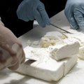 Itaalia firmale adresseeritud suhkrusaadetis osutus kokaiiniks