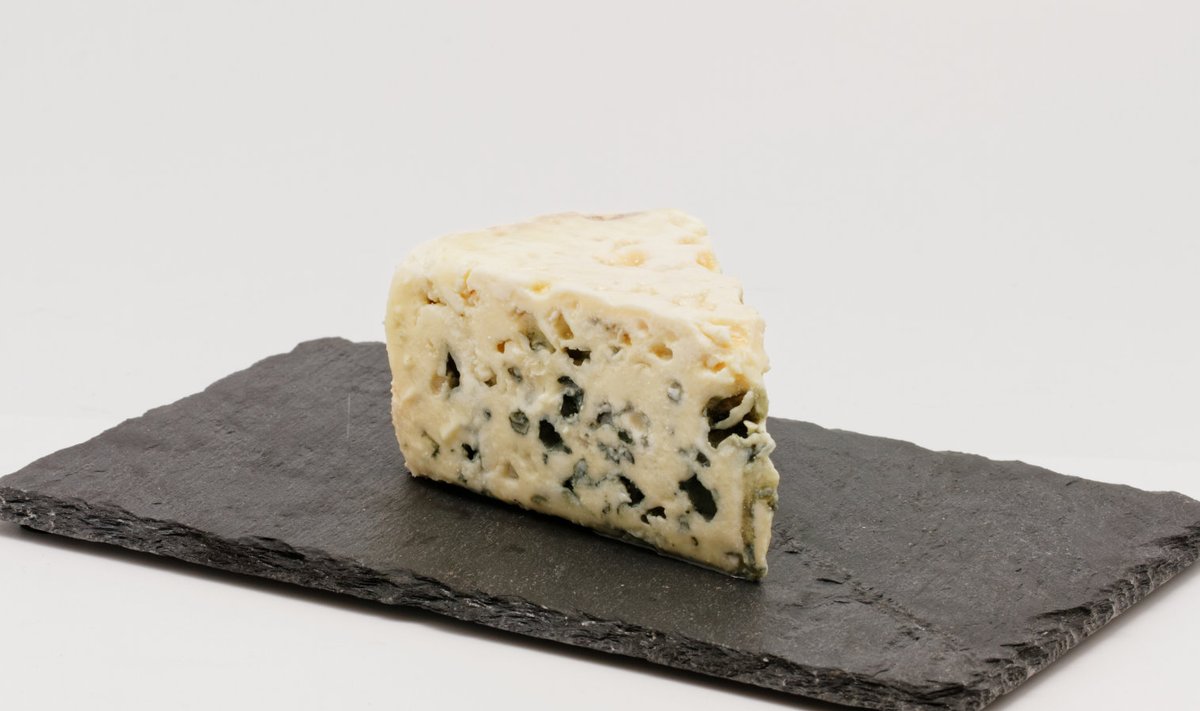 Roqueforti juust, millesarnase lõhnaga saadus tõmmati nüüd Rootsi rannavetest välja.