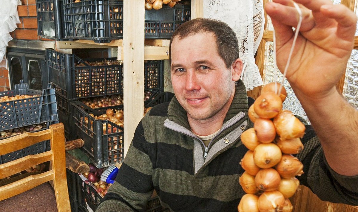 Konstantin Avvo tahab säilitada Peipsi sibula kasvatamise traditsioone.