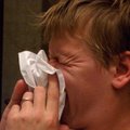 Mida teha, kui töökeskkond tekitab allergiat?