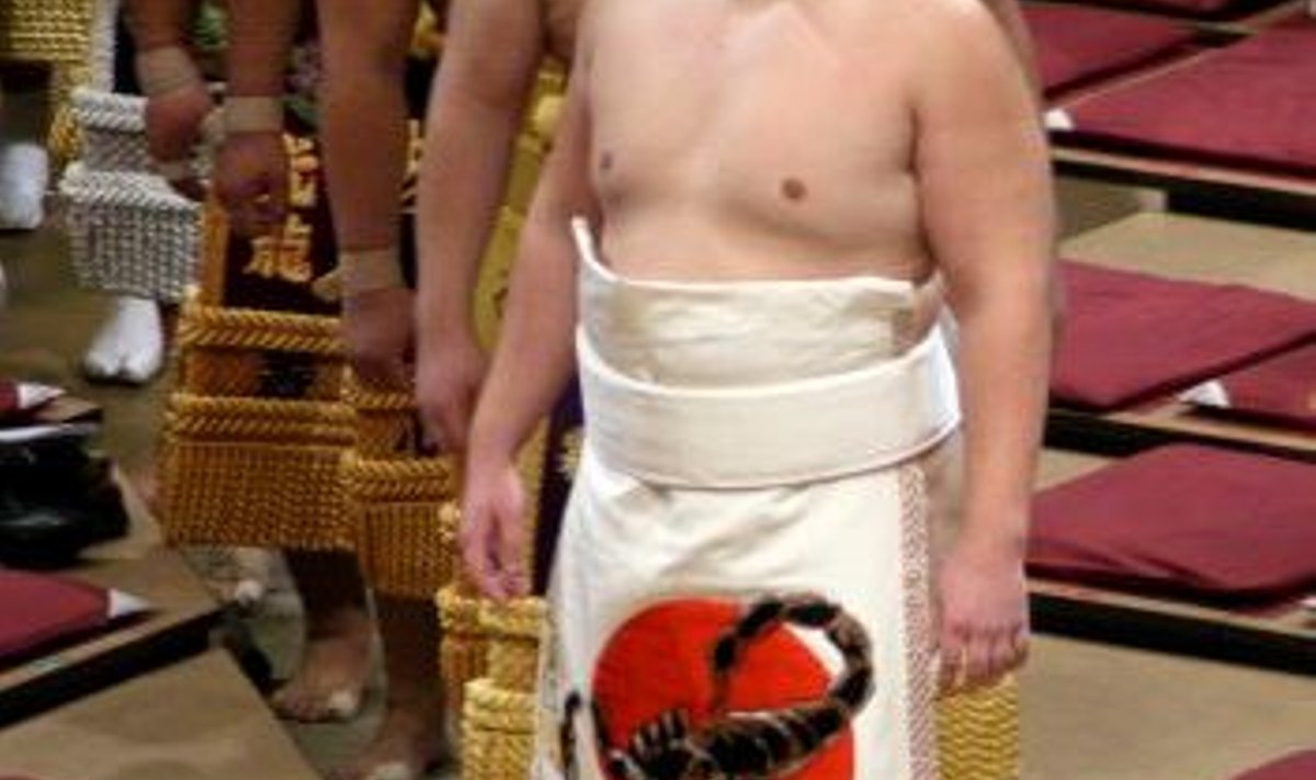 <a href="https://www.japan-sumo.ru/">japan-sumo.ru</a>