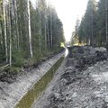 Riik eraldas täiendavalt raha vanade metsakraavide korrastamiseks