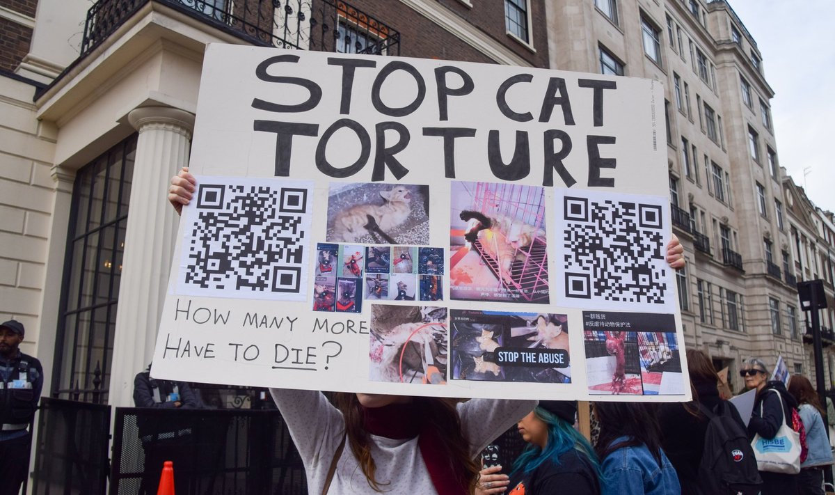 Aprilli alguses korraldati Londoni Hiina saatkonna ees meeleavaldus kasside piinamise lõpetamiseks
