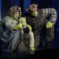 "Shreki" muusikali põrumine viis Nukuteatri 124 000 euroga kahjumisse