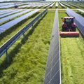 Taastuvenergiaarendaja: päikeseparkide rajamine ei konkureeri põllumajandustegevusega, vaid saab sellele hoogu juurde anda