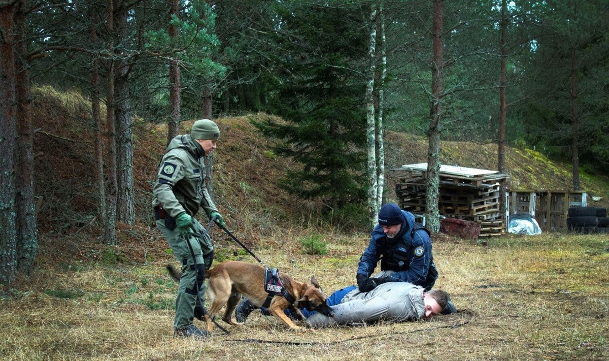 Keskkonnainspektorite ja politseikoerte õppepäev