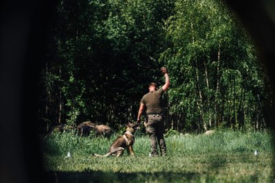 Meisternina võistlused