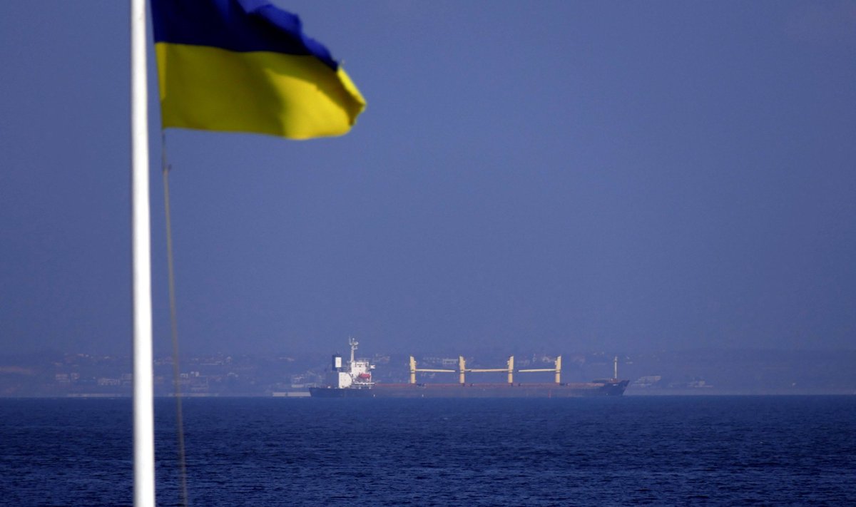 More bulk carriers arrive in ports of Great Odesa