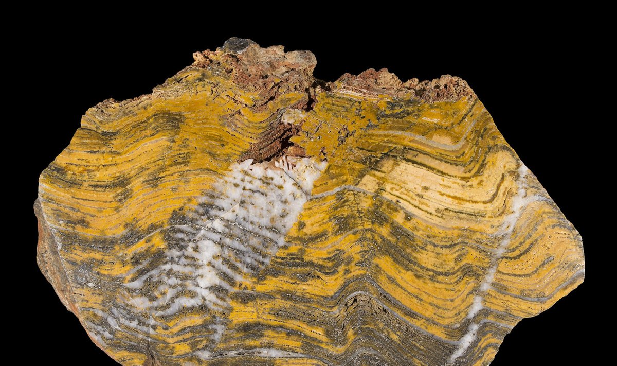 Stromatoliit