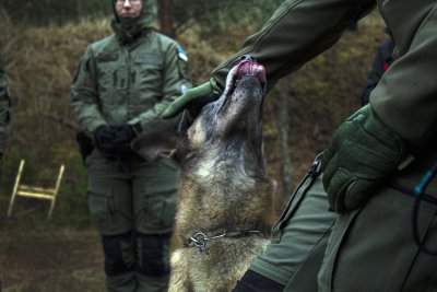 Keskkonnainspektorite ja politseikoerte õppepäev