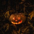 Kas tead, kus on halloween'i juured ning kuidas seda algselt tähistati? Selgitame välja!