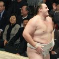 Baruto langeb sumo kõrgemast divisjonist välja
