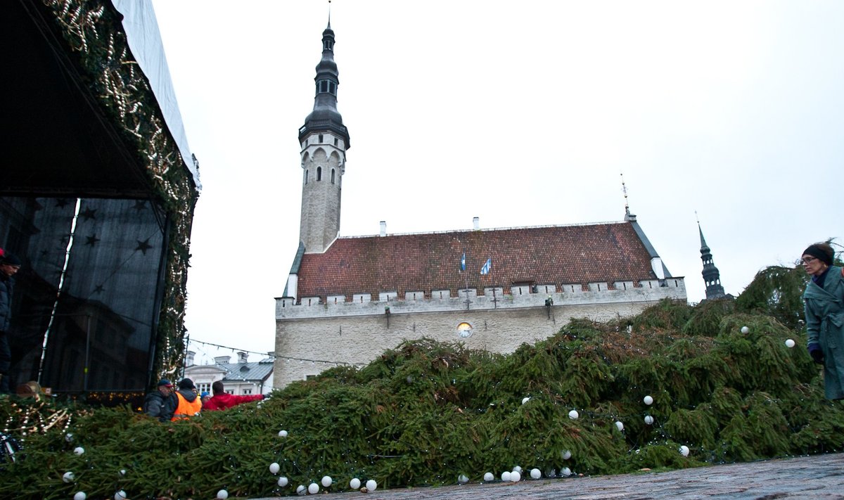 2011. aasta novembris kukkus ümber Tallinna jõulukuusk
