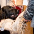 FOTOD: Evelin Ilves säras koos koeraga Rene Bürklandi raamatuesitlusel!