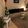 Fotovõistlus „Pühad minu kodus“ | Hubaselt tagasihoidlikud jõulud potikuusega