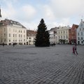FOTOD | Kas tavaline vaatepilt? Veebruarikuu alguses ilutseb Raekoja platsil jõulupuu