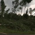 Torm langetas Tallinna-Tartu maanteele hulgaliselt puid
