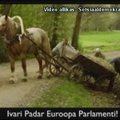 Padari Europarlamendi reklaamis on tulnukas