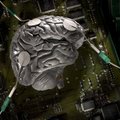 Hallutsinatsioone võib tekitada aju ennustusmasina rike