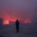 Лесные пожары в Греции: огонь добрался до Афин, жители бегут из пригородов, власти просят о помощи