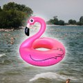 Мужчина на таллиннском пляже хотел догнать розового фламинго, но начал тонуть. Пришлось спасать его самого