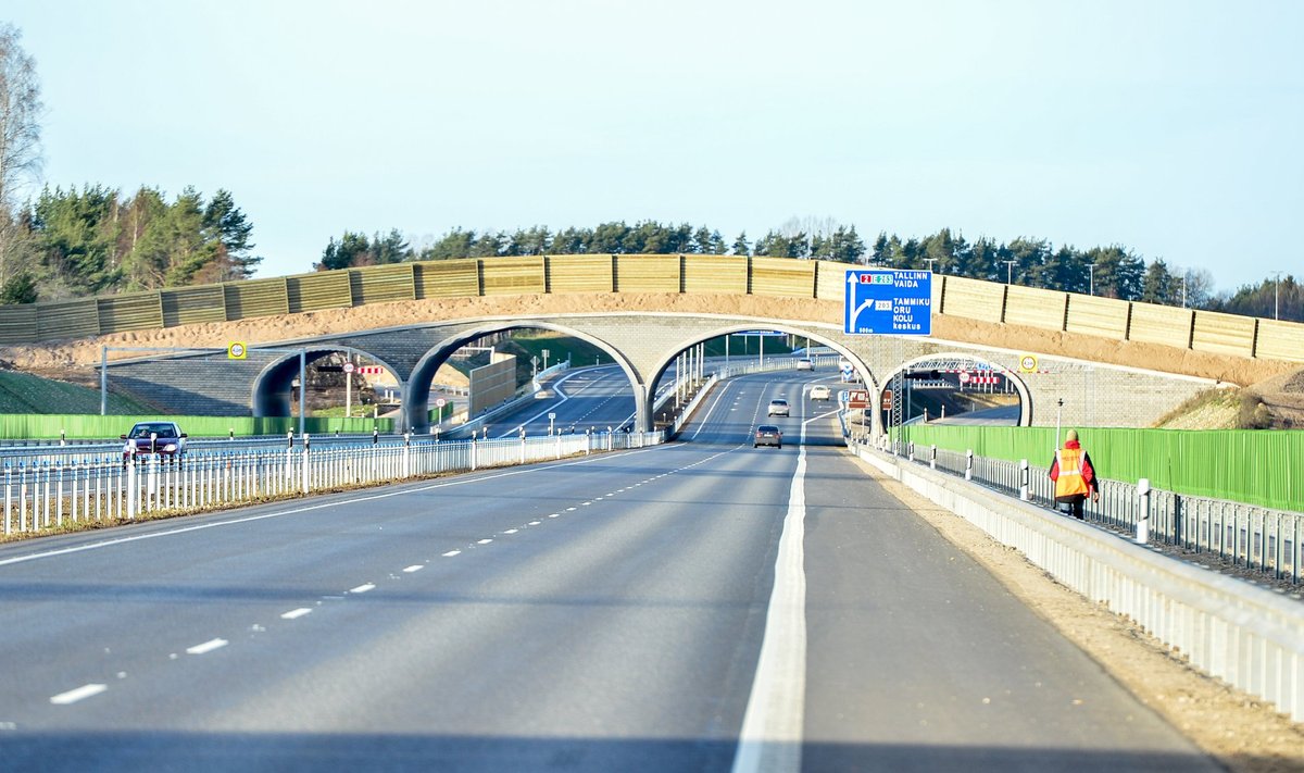 Tallinn-Tartu maantee uue lõigu avamine