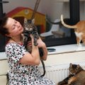 ФОТО | Волонтер переехала из Таллинна  в Нарву, чтобы спасать кошек