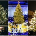 Голосуем! Где самая красивая рождественская елка — в Таллинне, Риге или Вильнюсе?