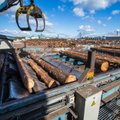 Mööblitootja: Eesti puidu hind on ilmselt Euroopa, aga võib-olla ka maailma kõrgeim