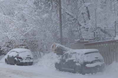 Autole murdunud puu Tartus Jaama tänaval.