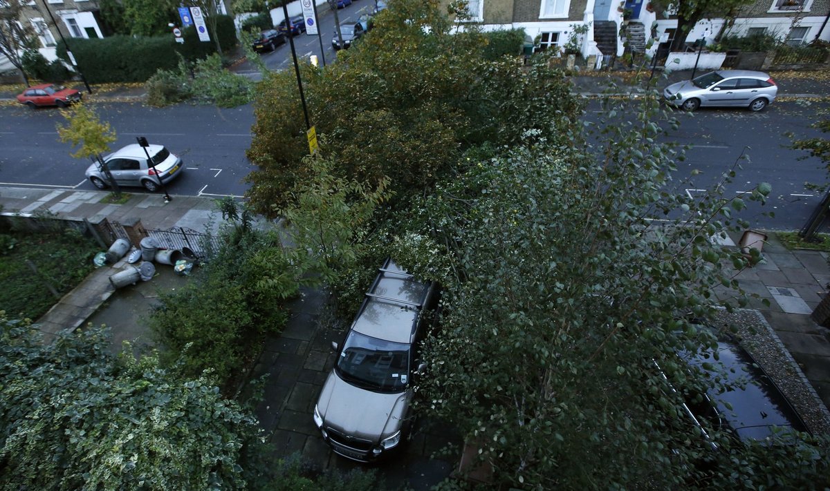 A fallen tree blocks the road after the St. Jude storm in Islington, north London