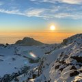 Умер автор хита „Снега Килиманджаро“ Паскаль Данель